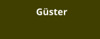 Güster