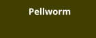 Pellworm