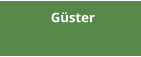 Güster