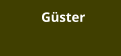 Güster