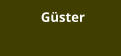 Güster
